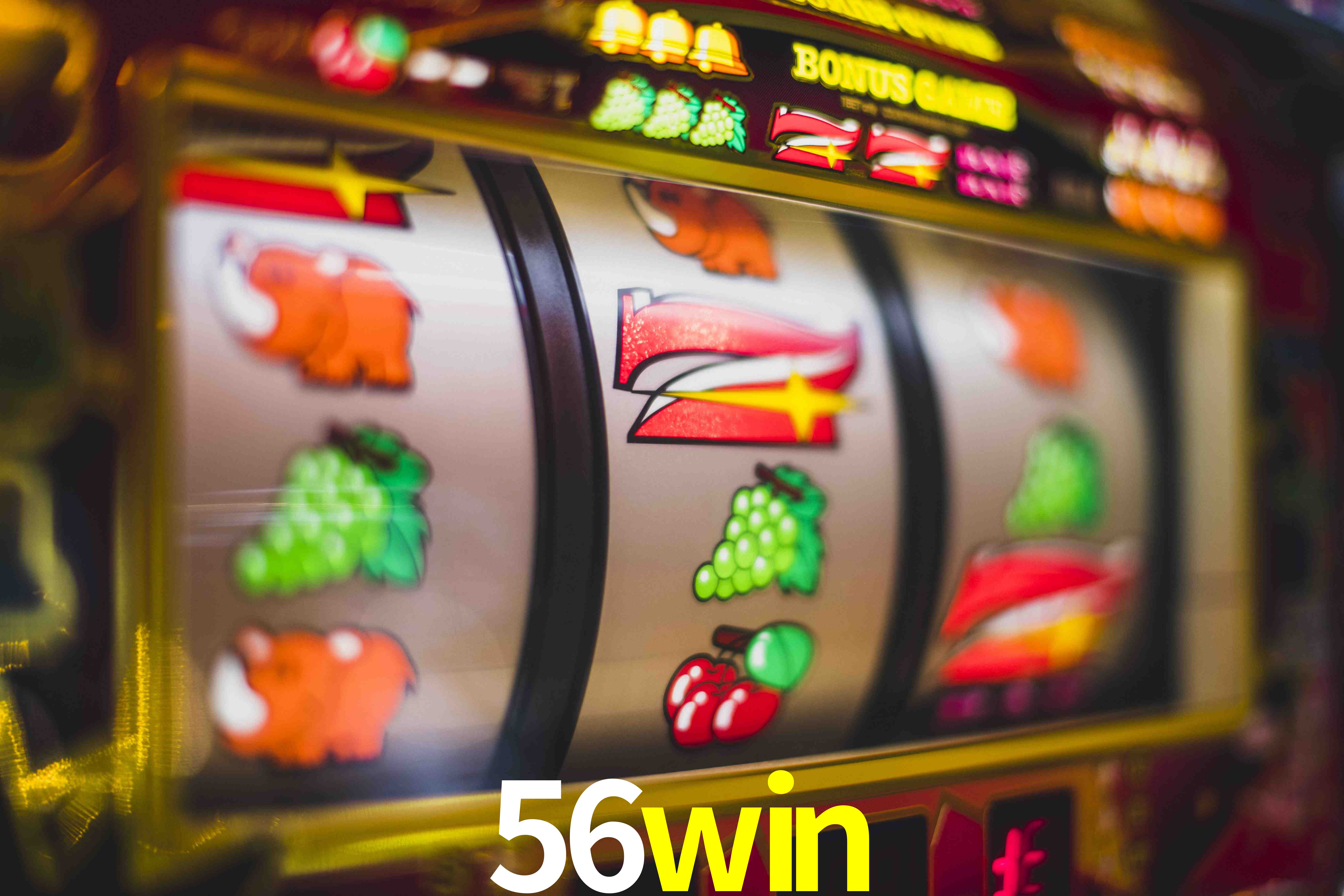 Football Betting 56win