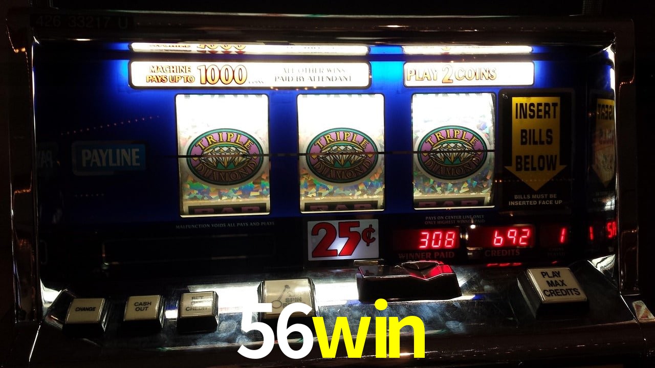 Sports Statistics 56win